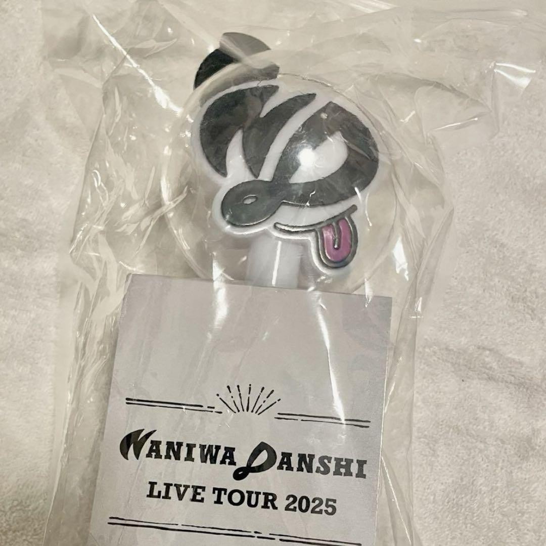 NANIWA DANSHI ペンライト 2個セット Naniwa Danshi Penlights 2 Live Tour 2025 | eBay