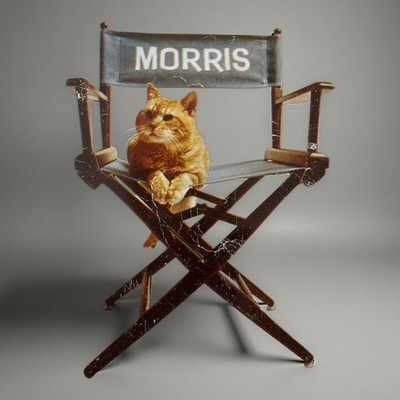Morris The Cat An Intimate Biography Paperback Mary Daniels 9Lives Ginger Tabby
