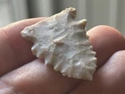 AMAZING TRANSLUCENT SERRATED PINETREE W/ NEEDLE TIP FOUND IN POSEY CO INDIANA