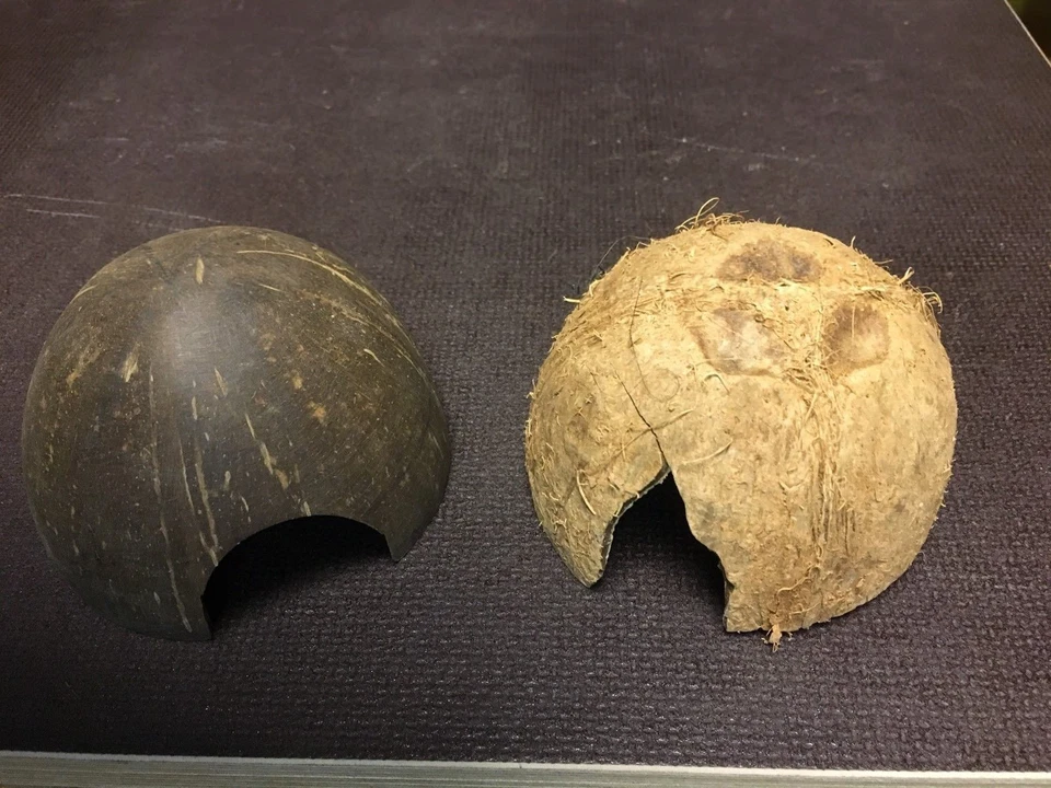 2 Kokosnuss Halbschalen - Versteck / Höhle für Garnelen Welse Krebse Fische