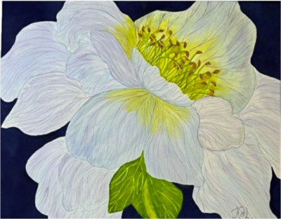 PAINTING WATERCOLOR 11X14 AND DOUBLE MAT 16X20 FLOWER PEONY BLUE PURPLE YELLOW