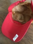 2020 President Donald TRUMP Red Trump Visor Hat w/Gold Hair Golf Cap Wig MAGA — photo 5