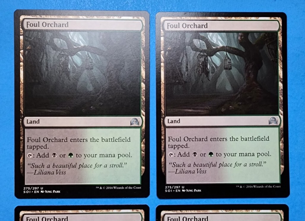 Foul Orchard 2x FOIL SOI MTG Shadows Over Innistrad Uncommon MINT black green land Foul Orchard 2x FOIL SOI MTG Shadows Over Innistrad Uncommon MINT black green land