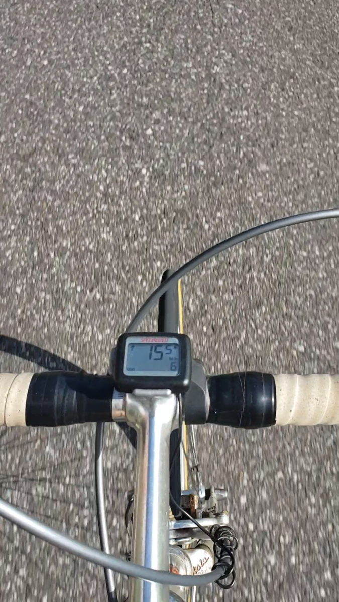 Silver Atala Road Bike with CAMPAGNOLO Groupset | eBay