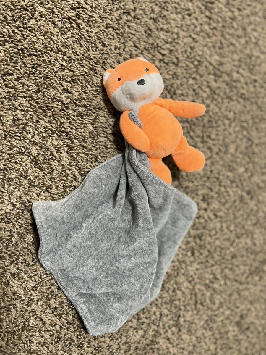 Carters fox security clearance blanket