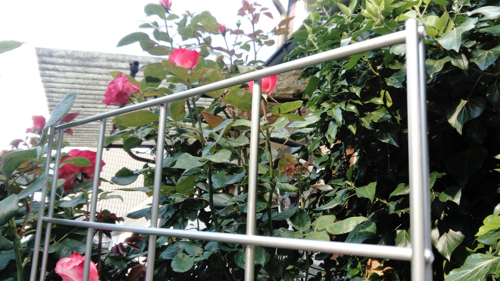 Bild 1 von 6