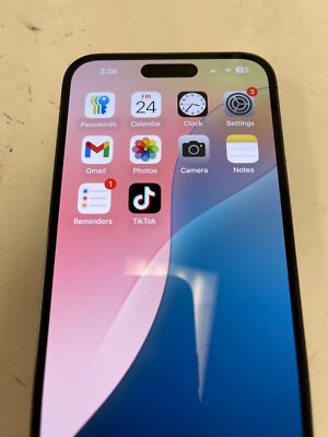 iPhone 14 Pro Max With TikTok
