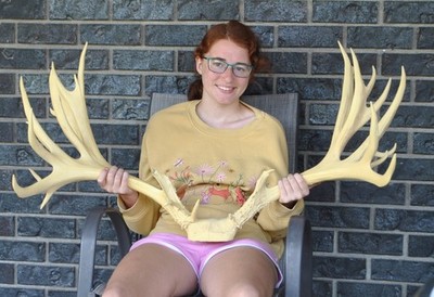 39'' Reproduction Mule Deer Shoulder Mount Taxidermy Montana Decor Mountain