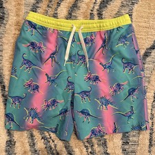 Youth Large Chubbies Magic Print Dino Delights Swim Trunks Neon 14/16 Kids