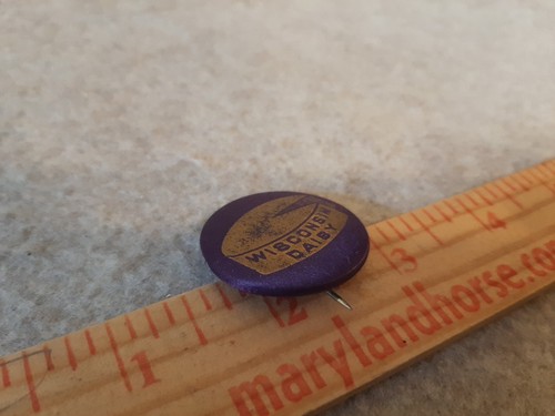 Prendedores de botón Pinback vintage Wisconsin Cheese Makers Assn 1934 y WISCONSIN DAISY - Imagen 7 de 9