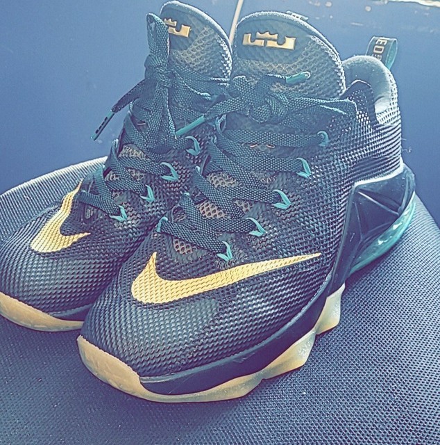 lebron 12 low for sale
