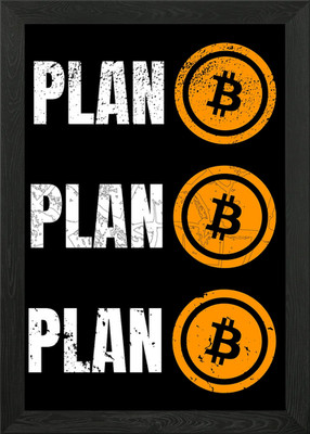 Bitcoin BTC Plan B Gerahmtes Wandbild Poster Leinwanddruck Bild