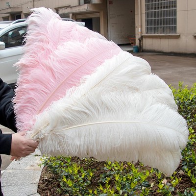 10PCS Colorful Ostrich Feathers Farm Feather for Wedding Party Decor Plumes L5