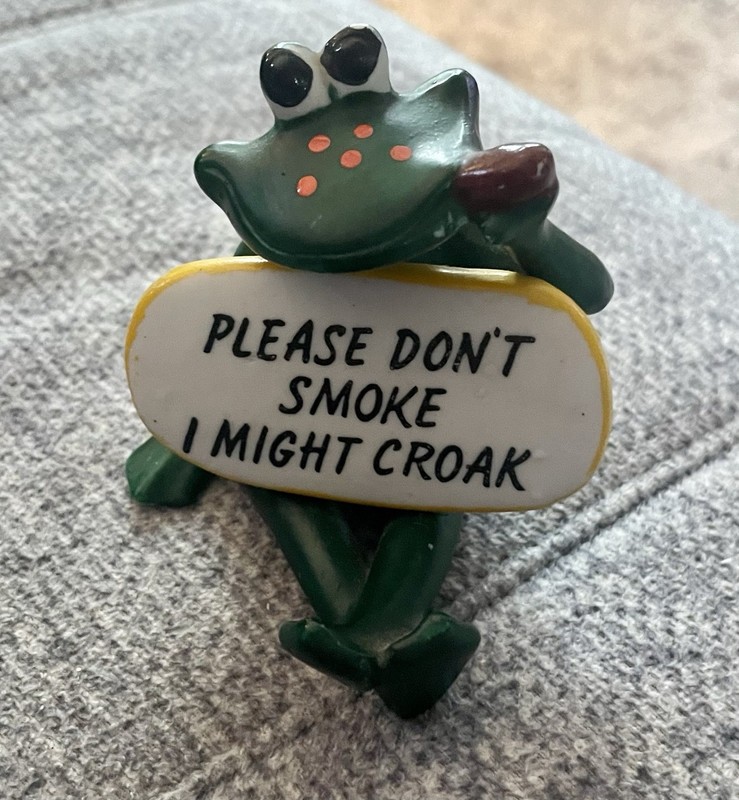 VTG Ceramic Frog Figurine With Cigar “Please Don't Smoke I Might Croak” 