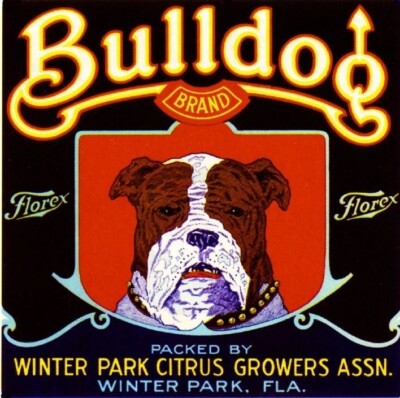 Bulldog Brand Oranges Winter Park Florida Citrus Fruit Crate Dog Label ...