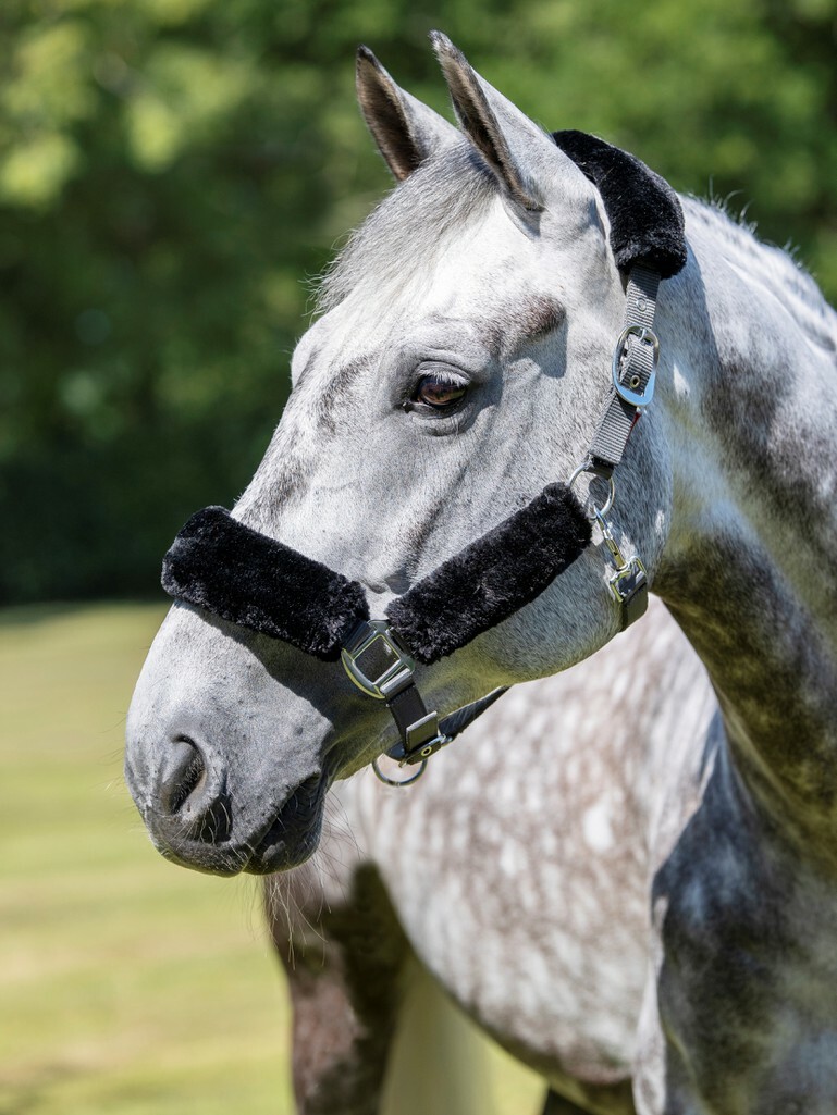 Licol LeMieux Comfort Mixte - Doublure Polaire Ultra-Douce Pour Cheval Confort Maximal