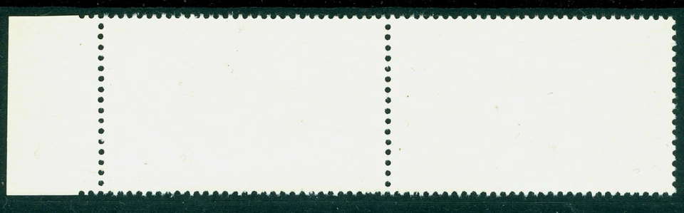 1960 Fish, Zander, Sander, Lucioperca lucioperca, Fisches, Rumania, Mi.1928, MNH, ERROR/1 Foto 2 de 2