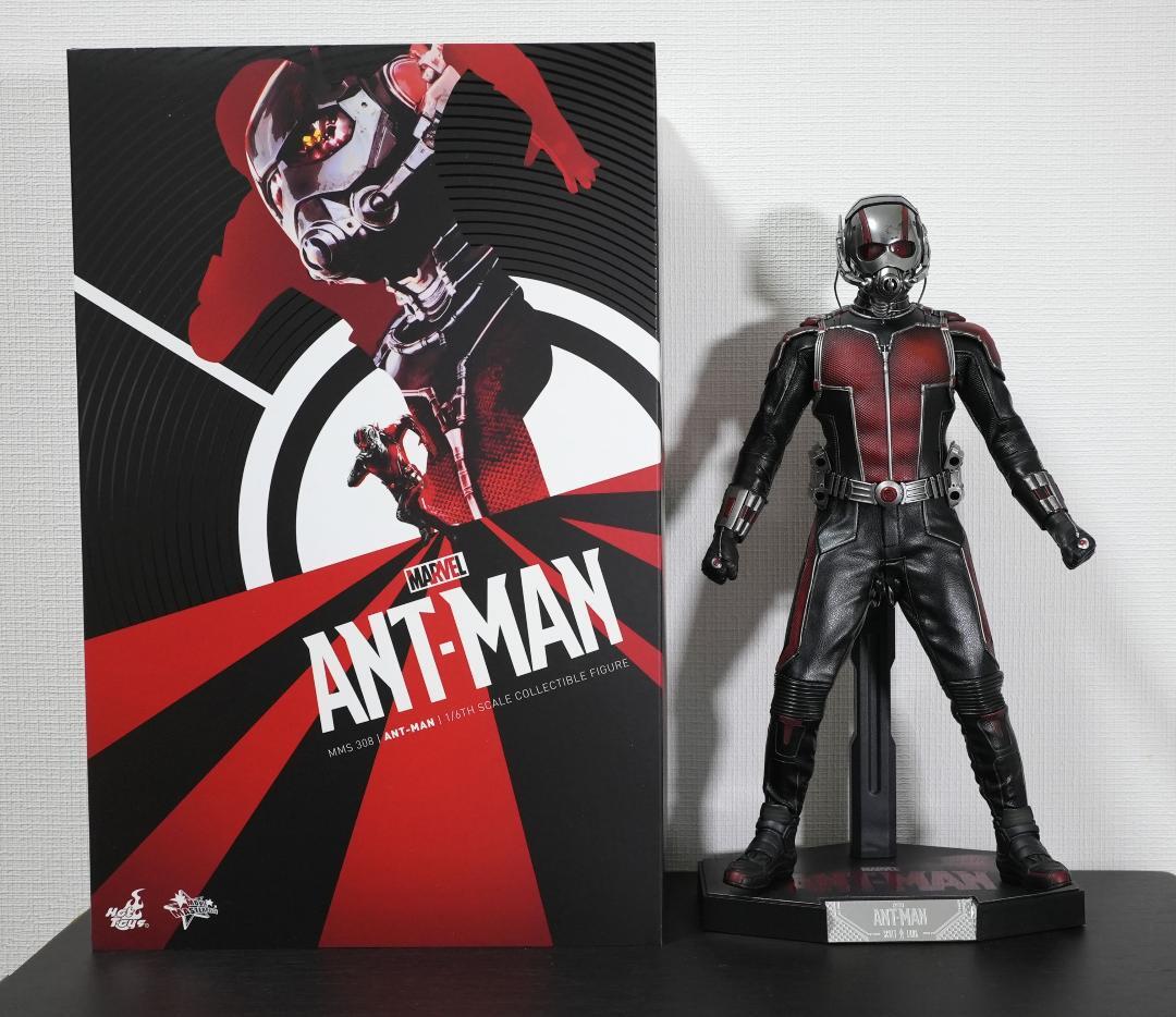 Ant-Man 1/6 Scale Collectible Figure PVC Figure Hot Toys From Japan