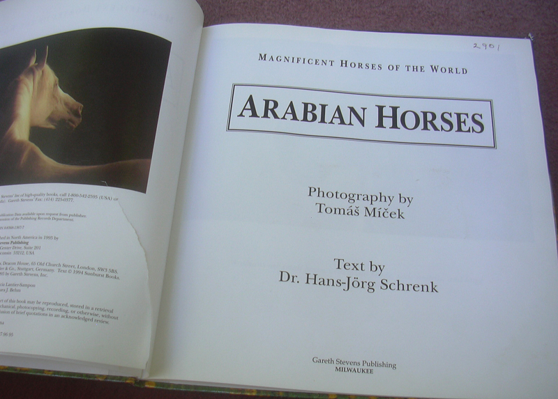 Arabian Horses Dr. Schrenk Tomas Micek Horse Book Hardcover