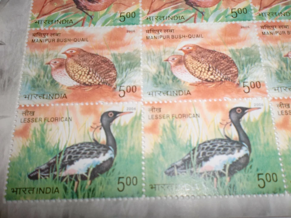 SELLOS DE LA INDIA - HOJA COMPLETA - 16 SELLOS DE GOMA - "AVES EN PELIGRO DE EXTINCIÓN DE LA INDIA" - 2006 Foto 4 de 4