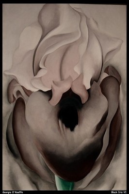 Georgia Okeeffe Black Iris Vi O 1 Vintage Kunstdruck Poster Wanddeko Wanddesign