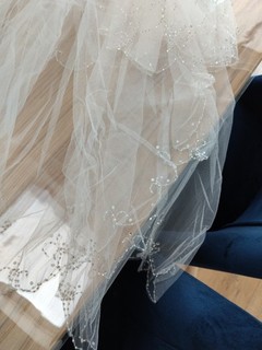 Netted Bridal Veil In Ivory