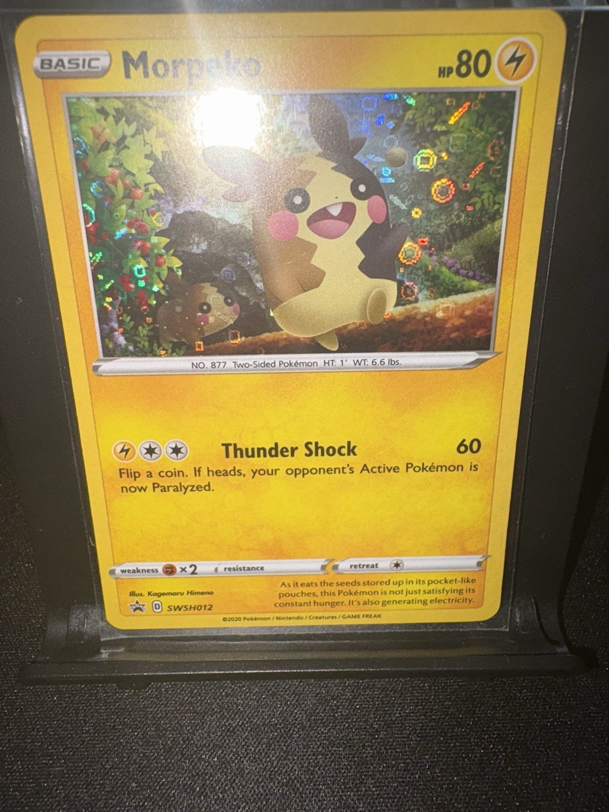 Pokemon Card - S&S Promo SWSH012 - MORPEKO - NM/M
