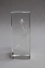 Laser Etched Glass Crystal Cube Paperweight 3D Dolphins Circling Seaweed Clear — photo 7