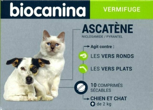 Biocanina Pour Chien Chats Ascatene Comprimes Contre Vers Ronds Et Vers Plats 10 Comprimes Gunstig Kaufen Ebay Biocanina Pour Chien Chats Ascatene Comprimes Contre Vers Ronds Et Vers Plats 10 Comprimes Gunstig Kaufen Ebay