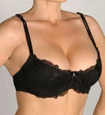 Alegro 9004 Embroidered Padded Lace Underwire Bra 32c 32 c NEW NWT