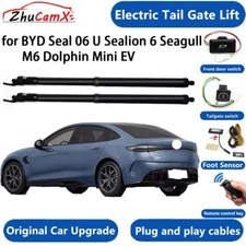 Electric Tail Gate Lift for BYD Seal 06 U Sealion 6 Seagull M6 Dolphin Mini EV