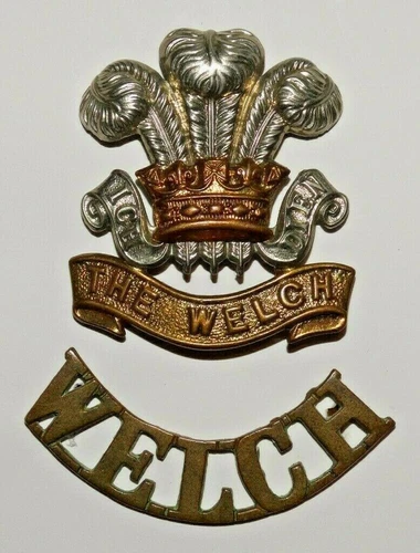 BRITISH MILITARY CAP BADGES, Welch Regiment Cap Badge & Shoulder Title 1920-WW2