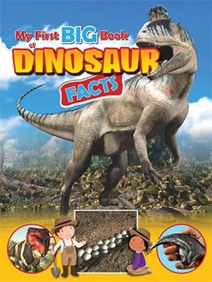 My First Big Book of Dinosaur Facts by Owen, Ruth Paperback / softback Book The