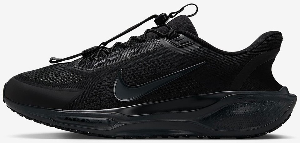 Nike Air Zoom Pegasus 41 EasyOn Black Anthracite for Sale