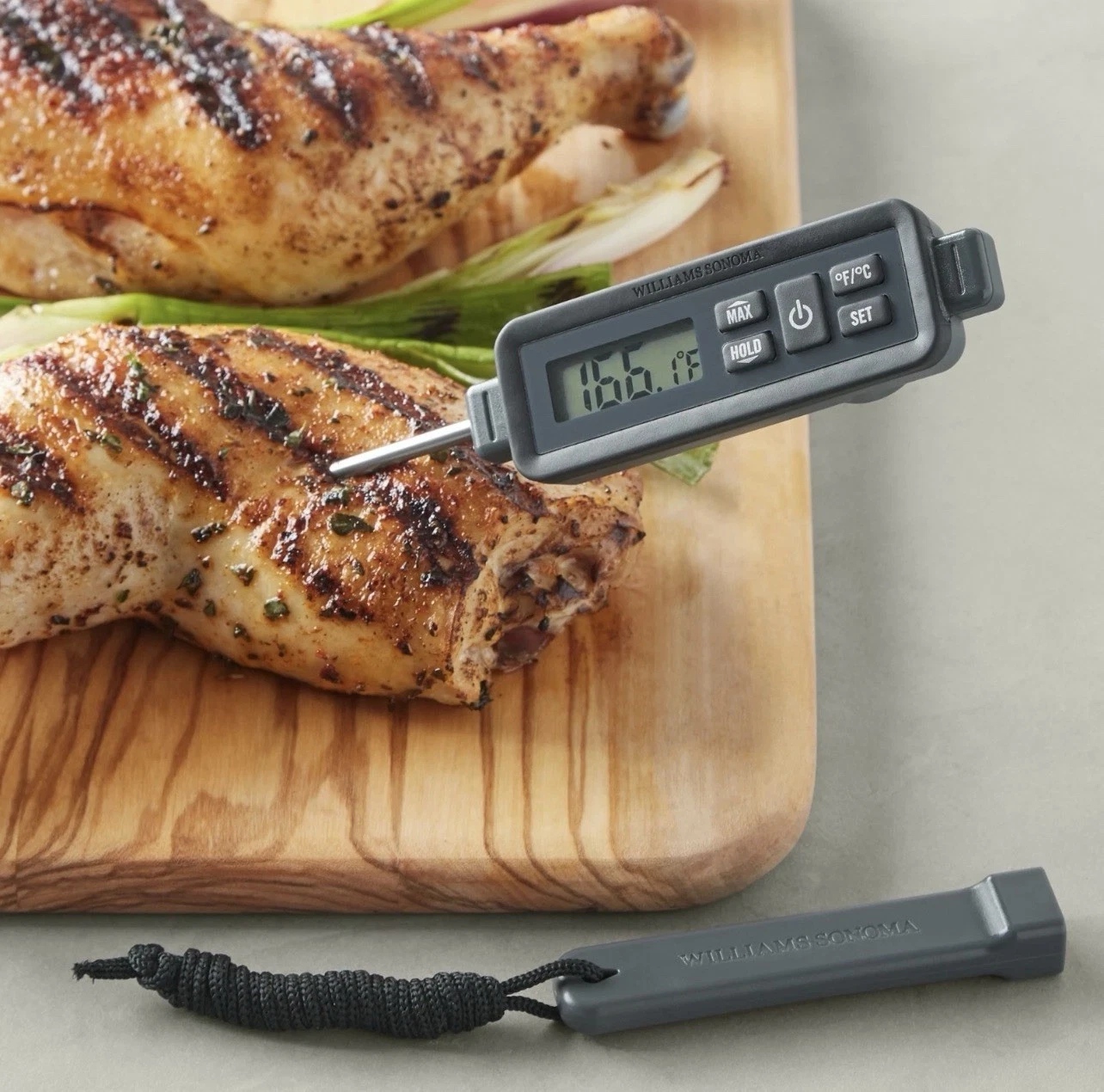 William Sonoma Waterproof Pen Thermometer