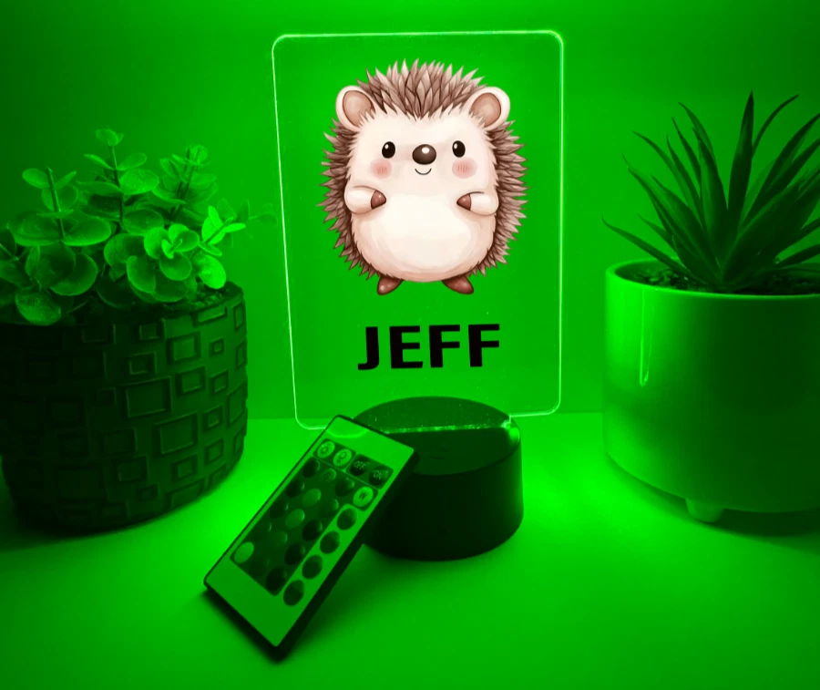 UV Printed Hedgehog Light Up, Personalized FREE, Animal LED Lamp, Kid Friendly - Image 2 of 4