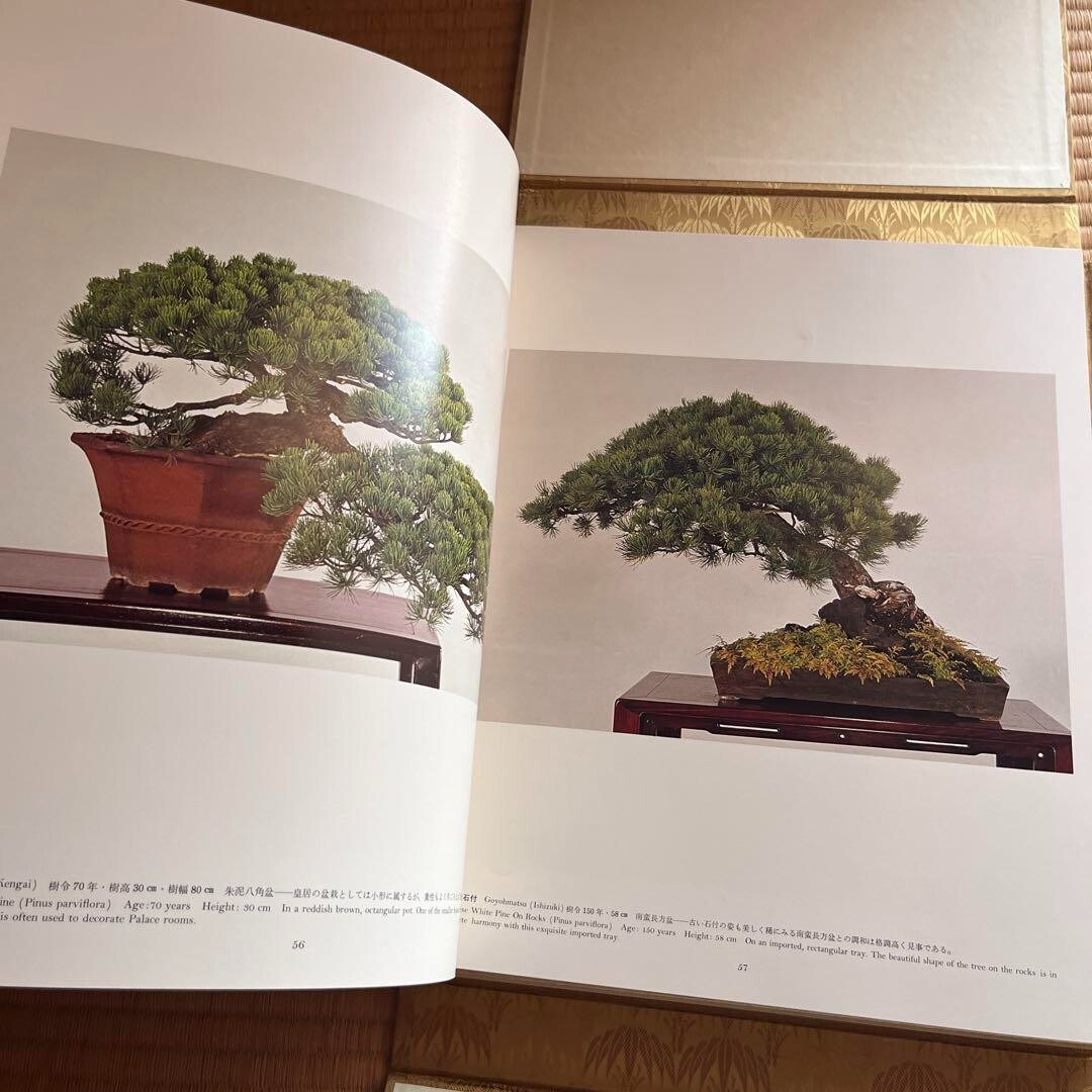1976 Imperial Bonsai of Japan Book W/Original Box Rare with