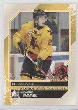 2010-11 ITG Heroes and Prospects Richard Panik #15 oy2