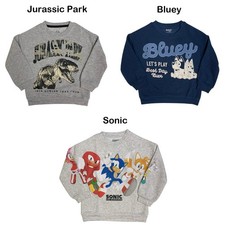 Boy's Long Sleeve Licensed Character Soft Fleece Crewneck Sweatshirt