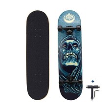 Dreambeauty 31 inch Pro Skateboard Complete,7 Layer Maple Wood Double Kick Co...