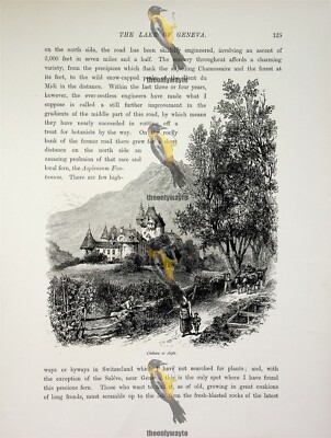 Schloss am Aigle, Genfersee, Schweiz, Buchillustration (Druck), um 1875