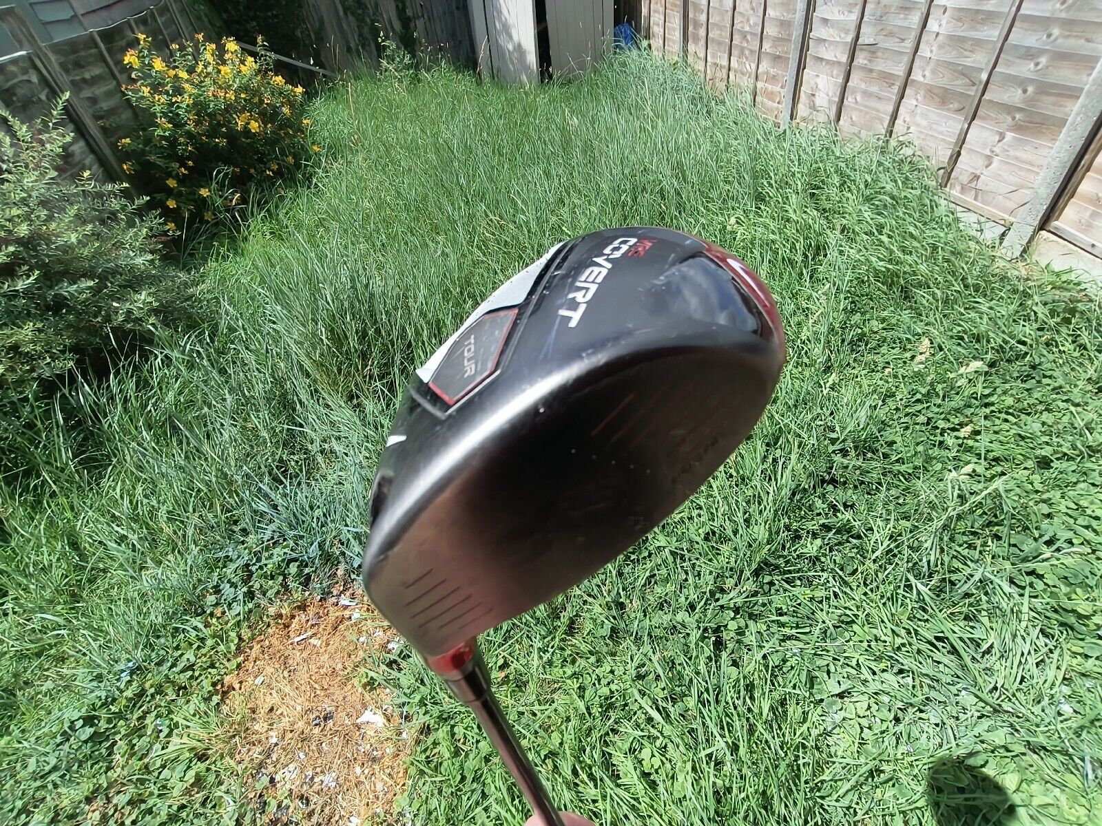 Picture 4 of 21
