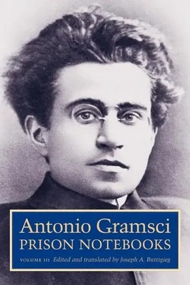 Antonio Gramsci | Prison Notebooks | Taschenbuch | Englisch (2007) | Volume 3