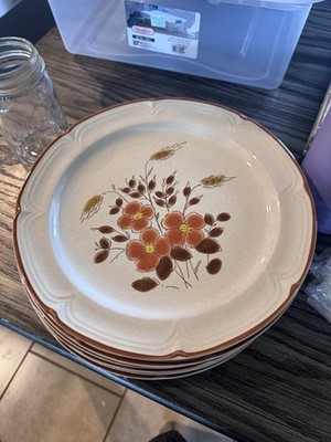 Finesse Monique Stoneware Floral Dinner Plate Set Of 6 10.5-inch Japan SY-7847