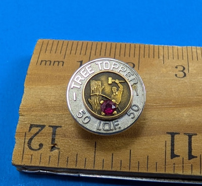 Tree Topper Forester 10K Gold CTO Pin IOF 50 Red Ruby