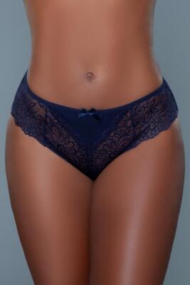 NEW sexy BE WICKED high RISE floral LACE sheer SHEER full COVERAGE panty PANTIES