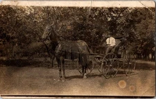 Man Riding Horse & Buggy Trees c1910s Unposted RPPC Postcard