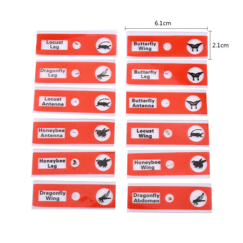 12pcs Prepared Microscope Slides Animals Insects Flowers Plants(Red Box) ✲ - Zdjęcie 1 z 2