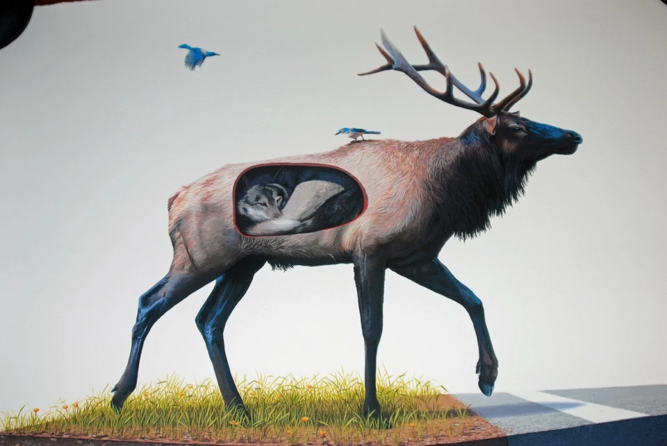 Pôster Josh Keyes arte impressão incubada 2010 vida selvagem veado alce P/# 50 lobo - Imagem 3 de 4