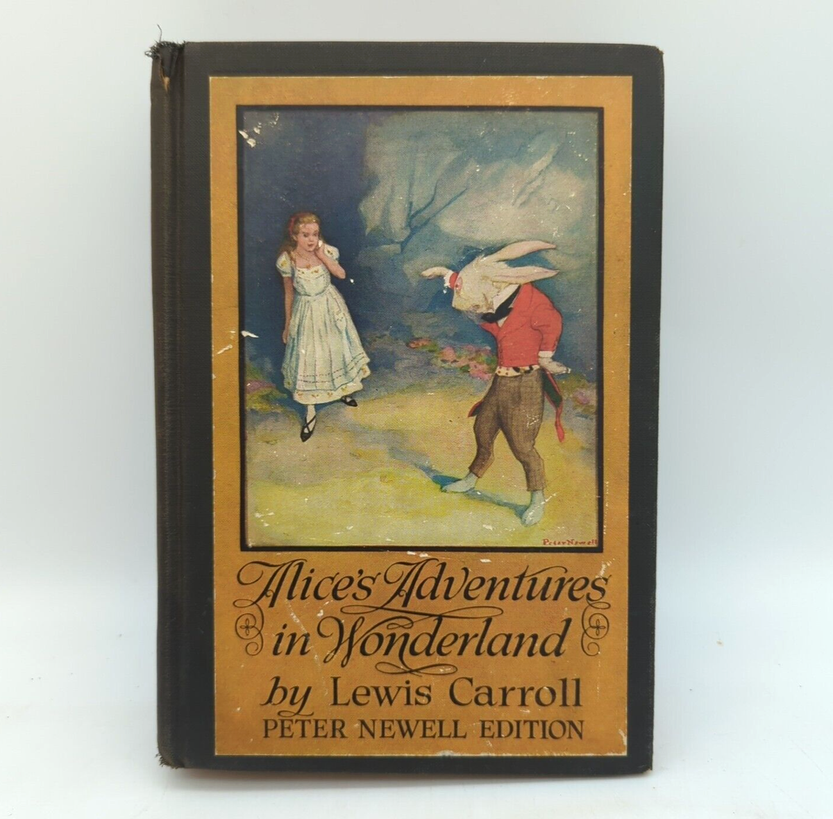 ALICE'S ADVENTURES IN WONDERLAND 1901 Peter Newell Edition READ